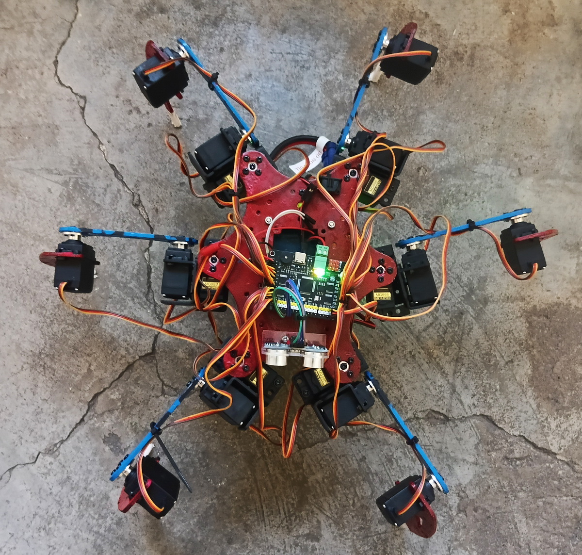 WHIP, the 18-DOF hexapod robot
